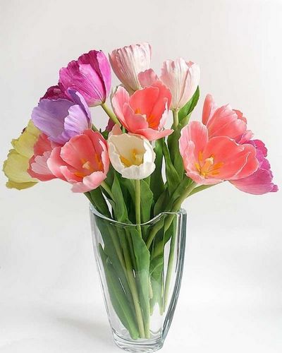 Цветы из фоамирана мастер-класс: изготовление и МК, маленькие своими руками, видео с полевыми и большими цветами