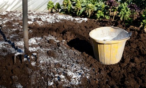 Известкование почвы: как проводится, нормы и правила