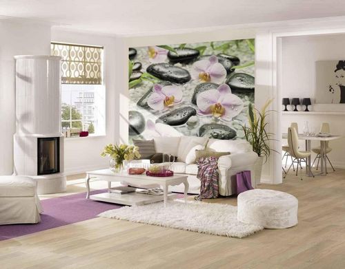 Обои с орхидеями для стен фото: элизиум в интерьере, с рисунком на кухню, 3д, флизелиновые, дизайн, видео