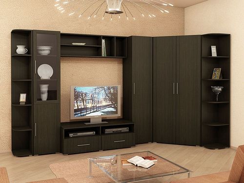 Стенки со шкафом для одежды: мебельные комнатные модели с пеналом в гостиную комнату и зал