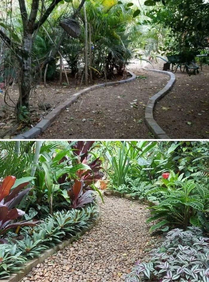 8. До и после (Коста-Рика)