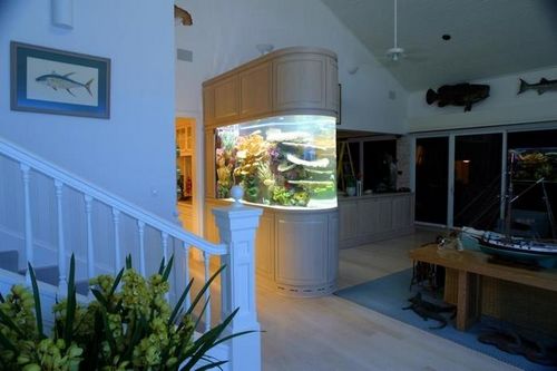Аквариум в интерьере гостиной фото: в зале между кухней, дизайн