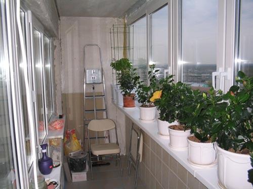 Cад на балконе – уголок природы в квартире