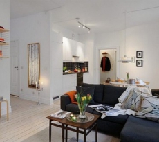 Дизайн однокомнатной квартиры с нишей: фото, советы