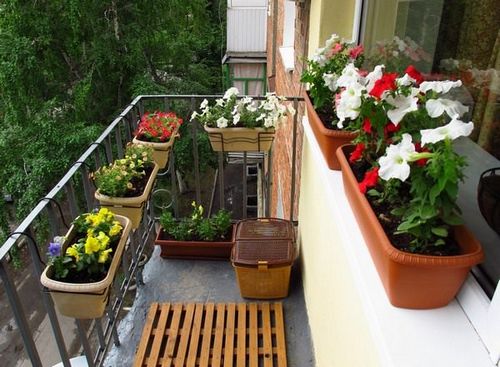 Горшки для балкона: декор цветочных горшков своими руками, фото
