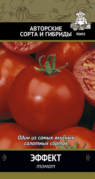 Как вырастить помидоры - пошаговая инструкция