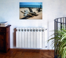 Какие биметаллические радиаторы отопления лучше для квартиры: какую фирму выбрать?