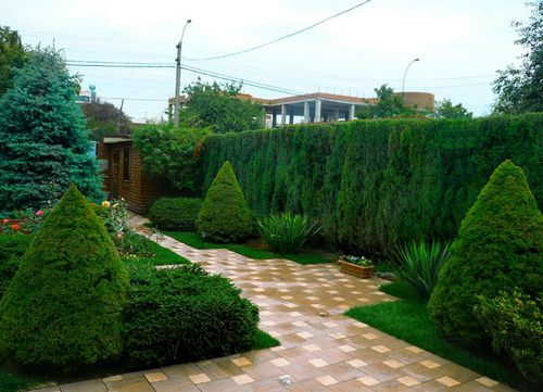 Ландшафтный дизайн перед домом (46 фото): как сделать декор территории таунхауса хвойными растениями своими руками, дизайнерские решения для ландшафта