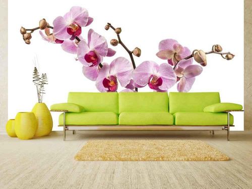 Обои с орхидеями для стен фото: элизиум в интерьере, с рисунком на кухню, 3д, флизелиновые, дизайн, видео