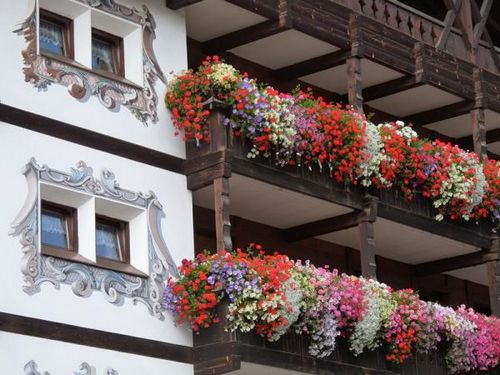 Оформление балкона цветами - красота за окном