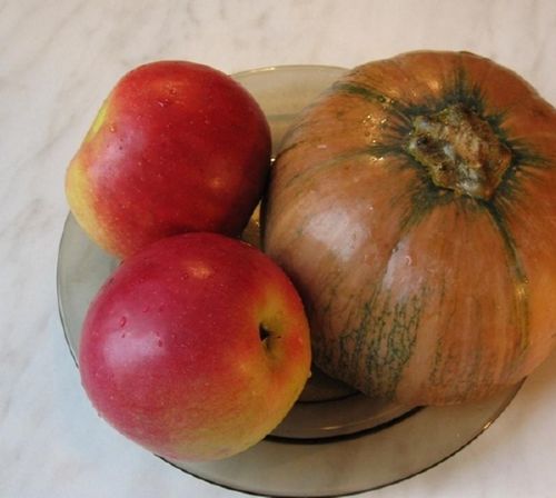 Оладьи из тыквы и яблок: рецепт оладушек, не переворачиваются диетические