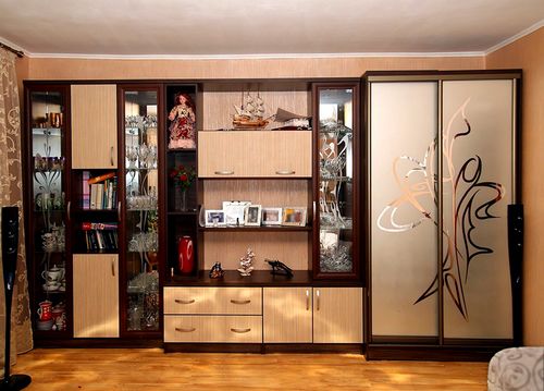 Стенки со шкафом для одежды: мебельные комнатные модели с пеналом в гостиную комнату и зал