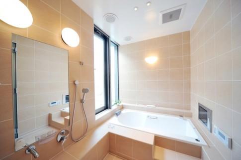 Светильник в ванную комнату: на потолок фото, для натяжного, светодиодные лампы, сколько точечных нужно, какой выбрать для реечных