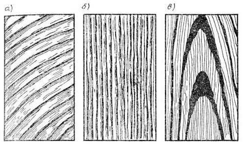 Усушка древесины: определение понятия, показатели для различных пород