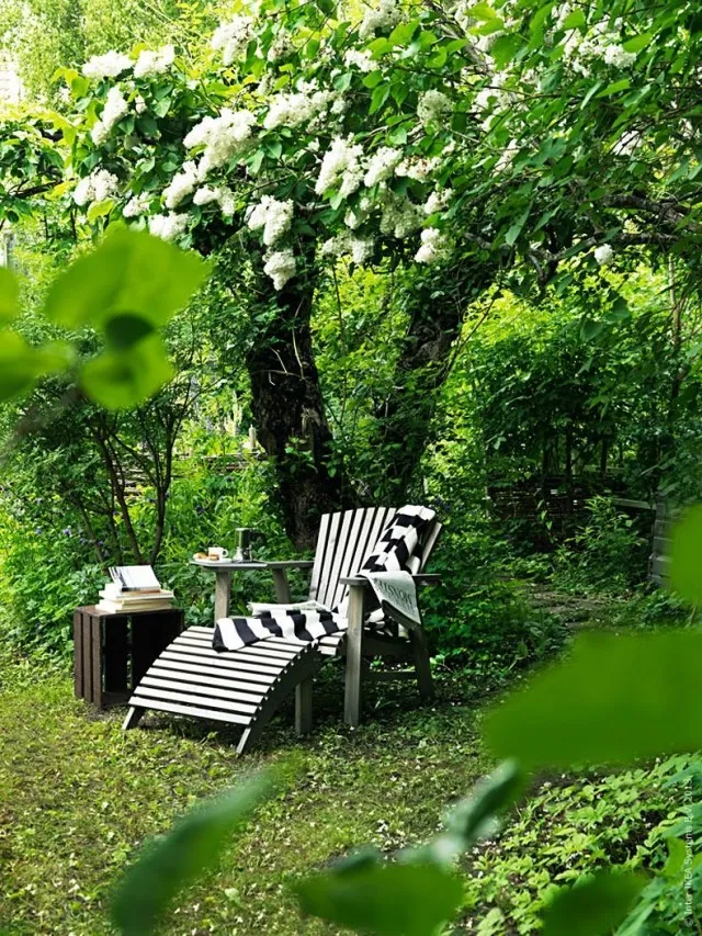 Кресло в саду